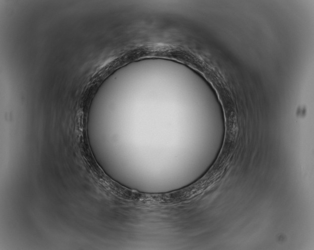 X0000099541301200806061445