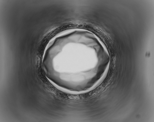 X0000099541302200806061445