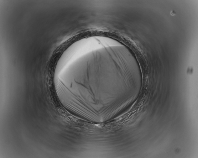 X0000099541303200806061445