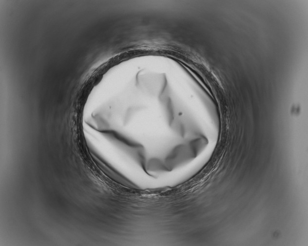 X0000099541304200806061445