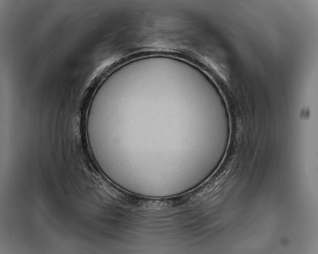 X0000099541307200806061445