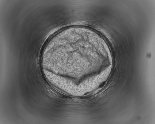 X0000099541308200806061445