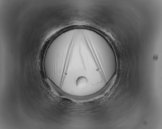 X0000099541311200806061445