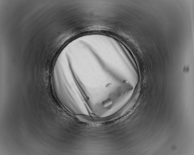 X0000099541313200806061446