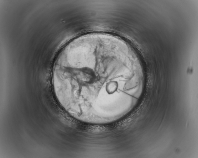 X0000099541314200806061446