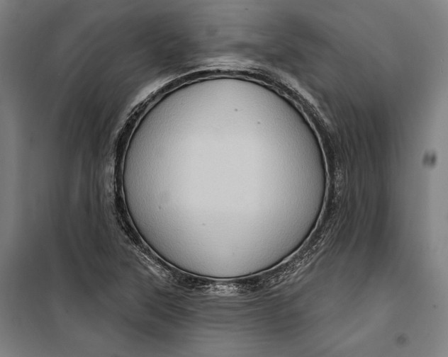 X0000099541315200806061446