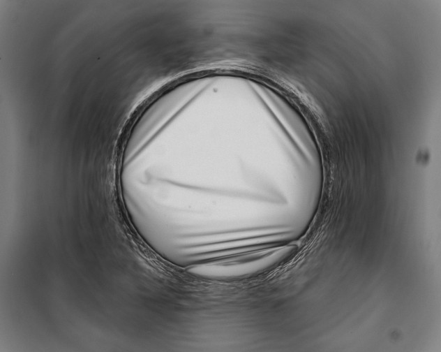 X0000099541316200806061446