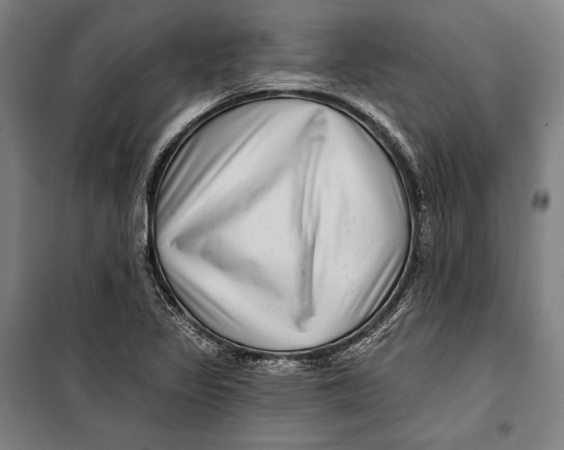 X0000099541317200806061446