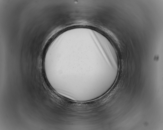 X0000099541318200806061446