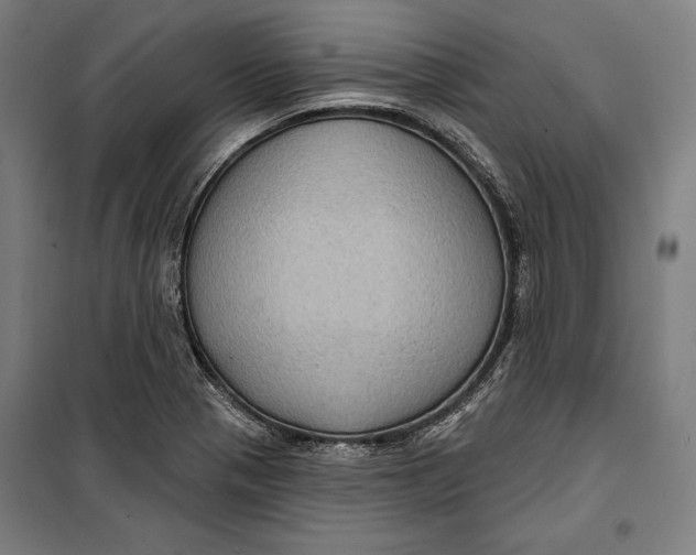 X0000099541321200806061446