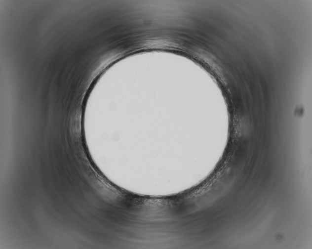 X0000099541322200806061446