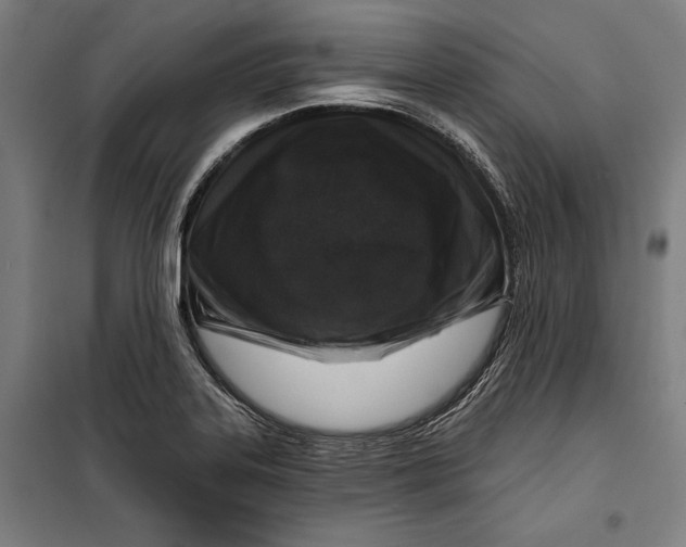 X0000099541323200806061446