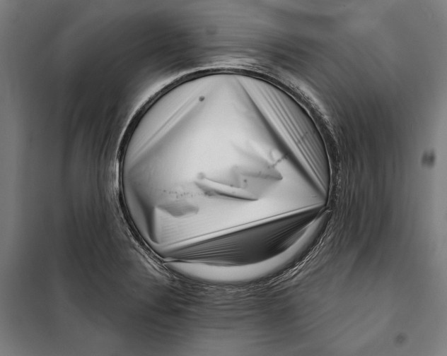 X0000099541324200806061446