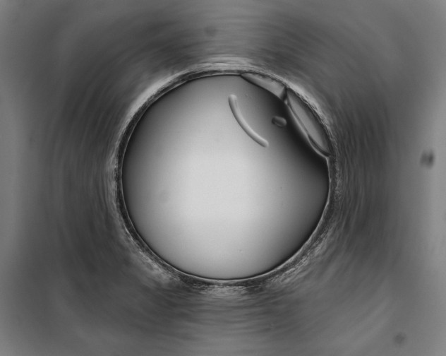 X0000099541325200806061446