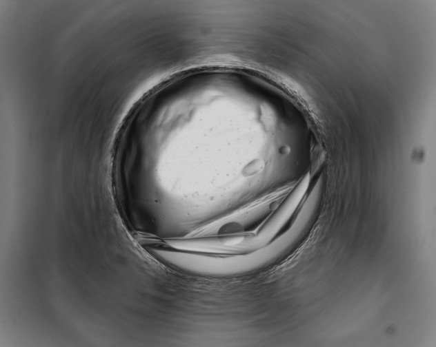 X0000099541326200806061446