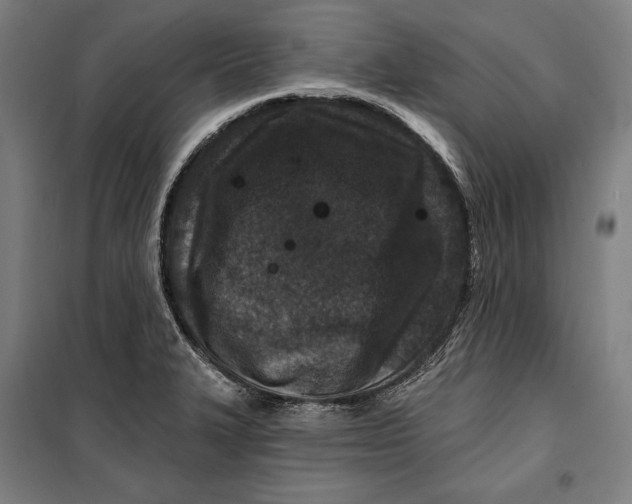 X0000099541327200806061446