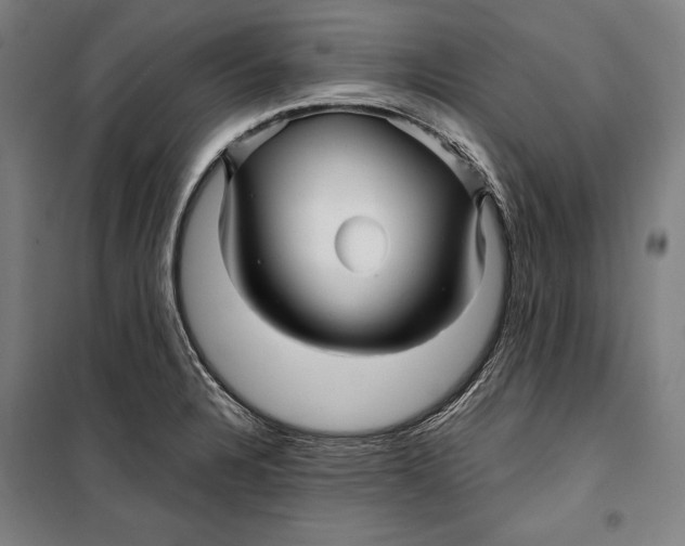 X0000099541328200806061446