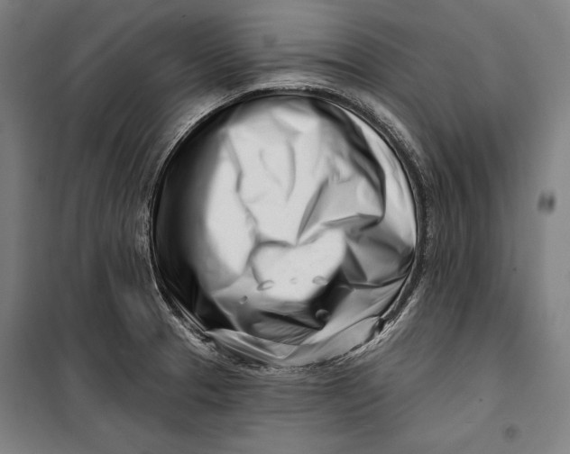 X0000099541329200806061446