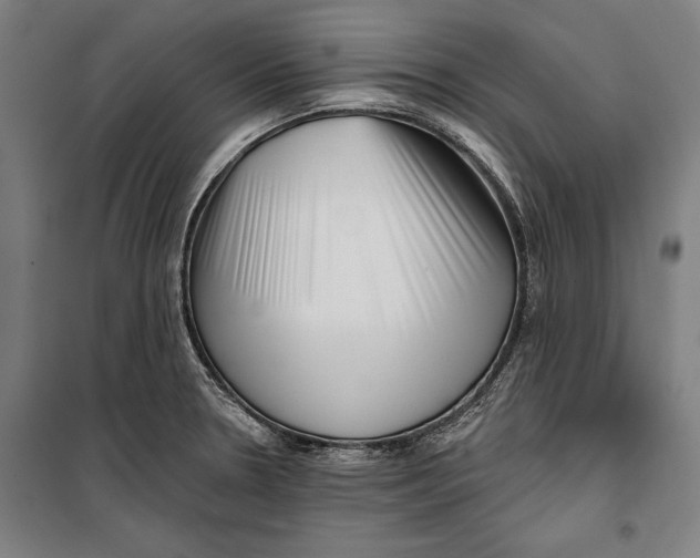 X0000099541330200806061446