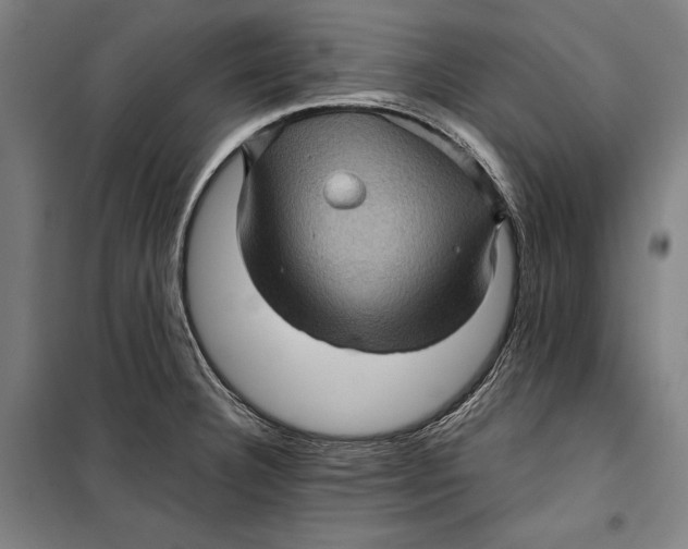 X0000099541332200806061446