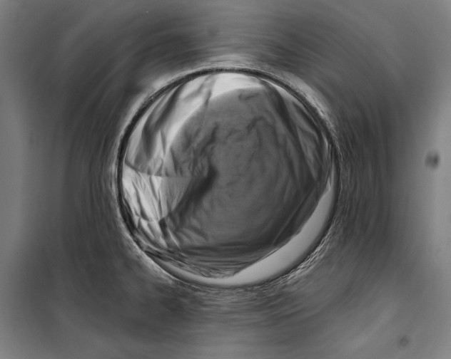 X0000099541334200806061446