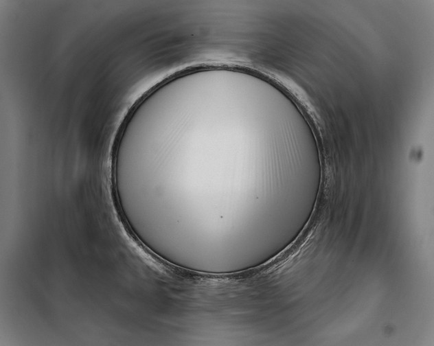 X0000099541335200806061446