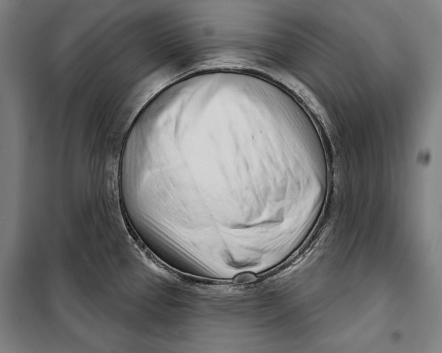 X0000099541337200806061446