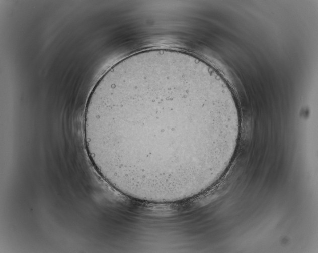 X0000099541338200806061446