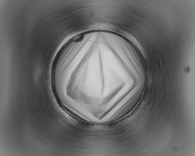 X0000099541339200806061446