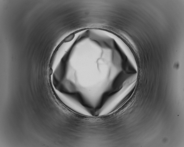 X0000099541340200806061446