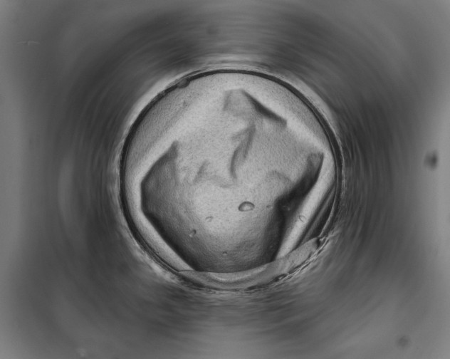 X0000099541341200806061446