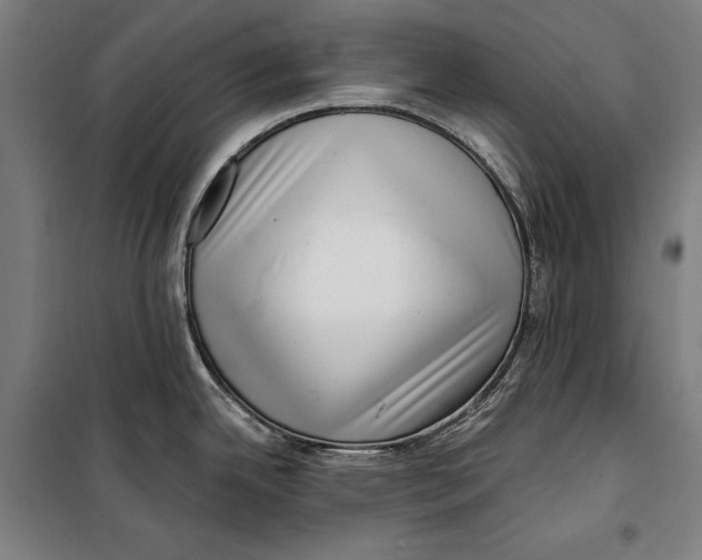 X0000099541342200806061446