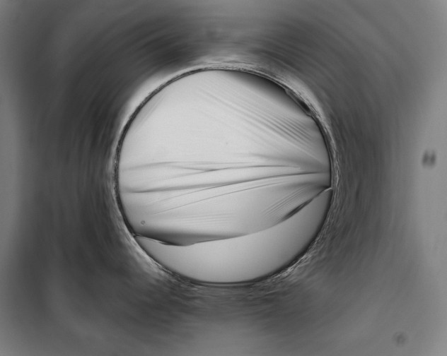 X0000099541344200806061446