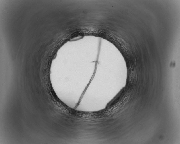 X0000099541345200806061445