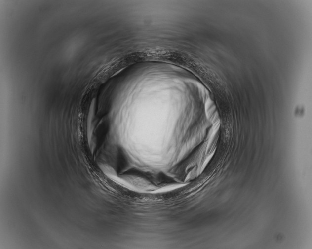 X0000099541346200806061445