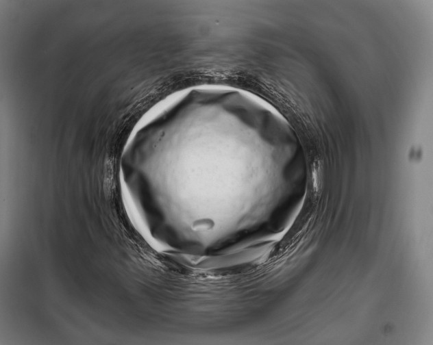 X0000099541347200806061445