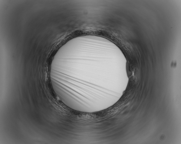 X0000099541348200806061445