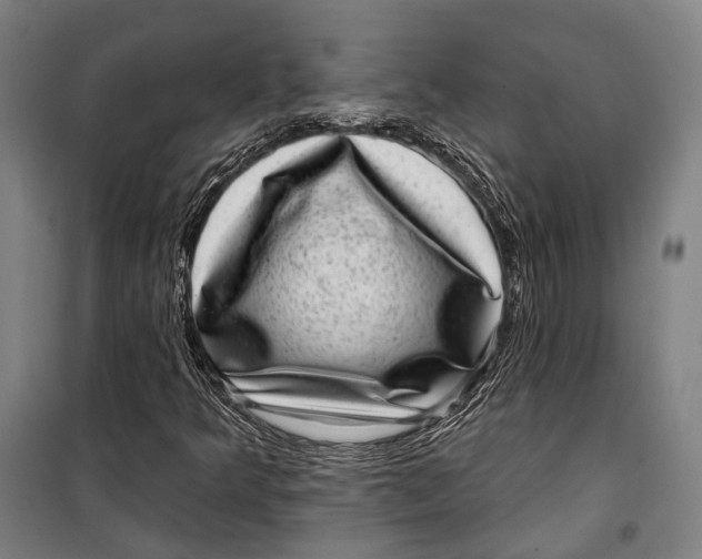 X0000099541349200806061445