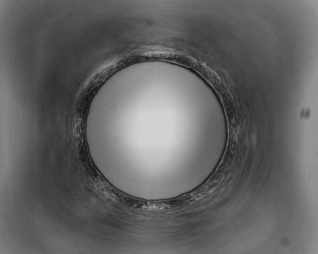 X0000099541351200806061445