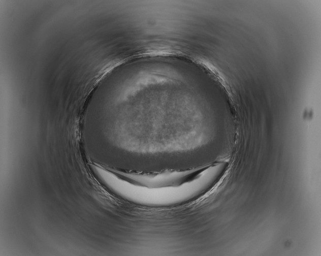 X0000099541353200806061445