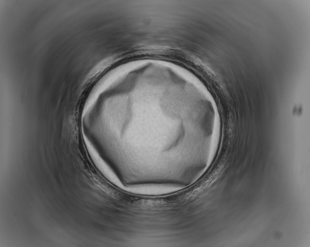 X0000099541354200806061445