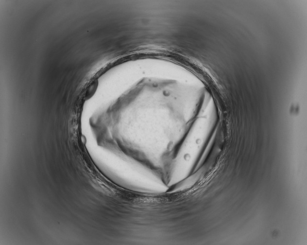 X0000099541355200806061445