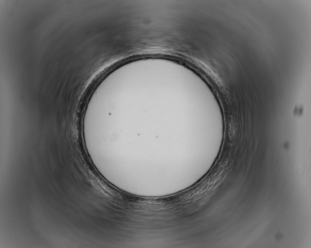 X0000099541356200806061445