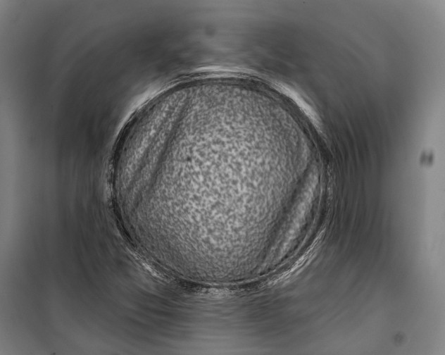 X0000099541357200806061445