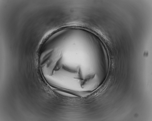 X0000099541358200806061445