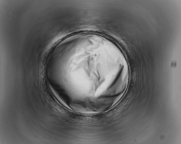 X0000099541359200806061445