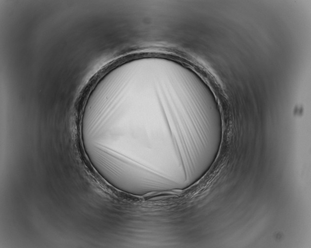 X0000099541360200806061445