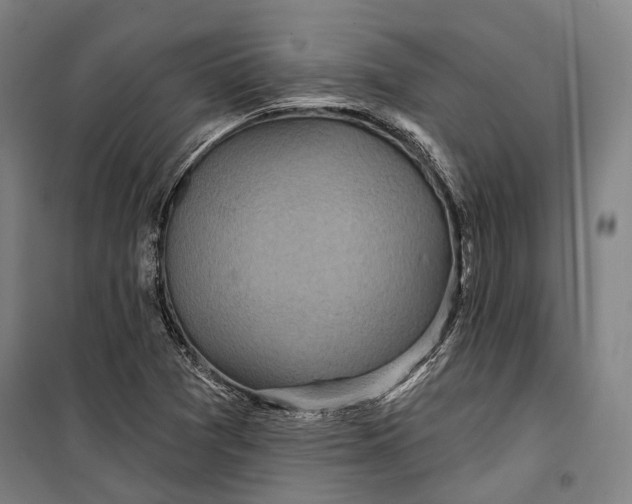 X0000099541361200806061445