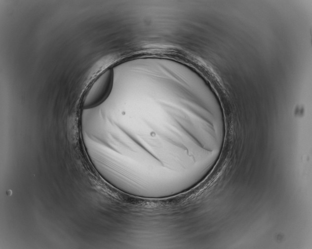 X0000099541362200806061445