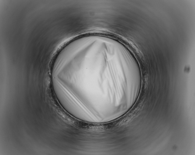 X0000099541363200806061445